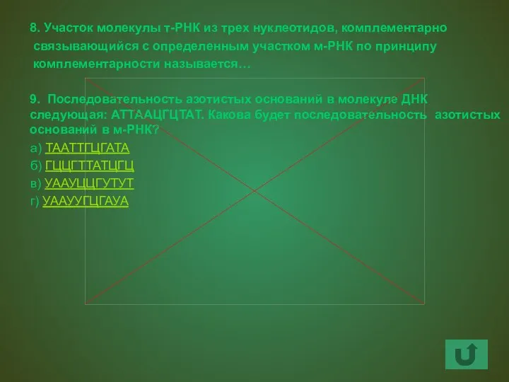 8. Участок молекулы т-РНК из трех нуклеотидов, комплементарно связывающийся с определенным участком