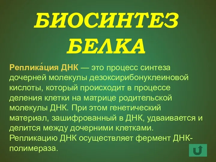 БИОСИНТЕЗ БЕЛКА Реплика́ция ДНК — это процесс синтеза дочерней молекулы дезоксирибонуклеиновой кислоты,