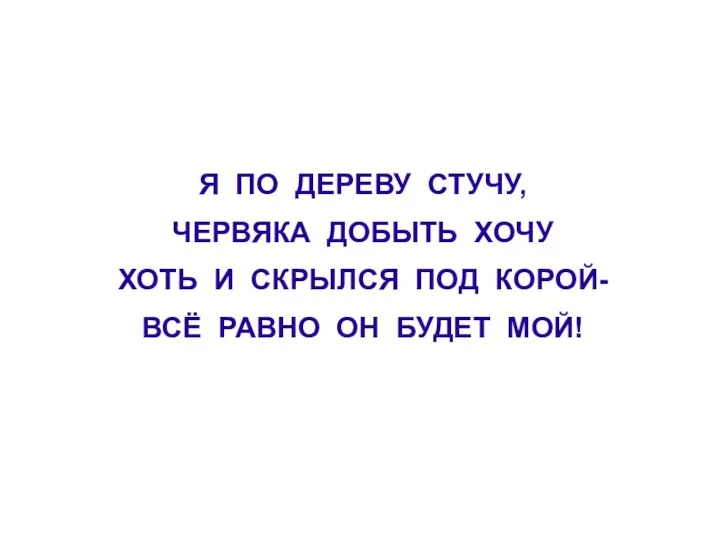 Я ПО ДЕРЕВУ СТУЧУ, ЧЕРВЯКА ДОБЫТЬ ХОЧУ ХОТЬ И СКРЫЛСЯ ПОД КОРОЙ-