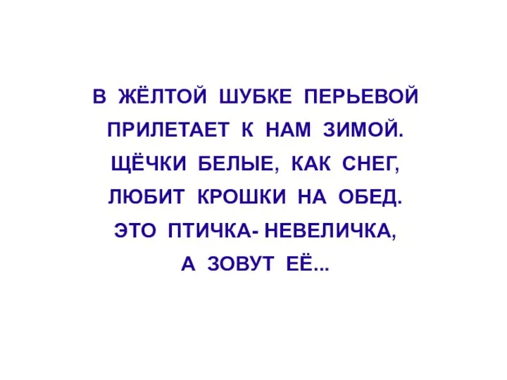 В ЖЁЛТОЙ ШУБКЕ ПЕРЬЕВОЙ ПРИЛЕТАЕТ К НАМ ЗИМОЙ. ЩЁЧКИ БЕЛЫЕ, КАК СНЕГ,