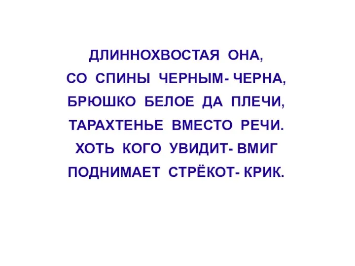 ДЛИННОХВОСТАЯ ОНА, СО СПИНЫ ЧЕРНЫМ- ЧЕРНА, БРЮШКО БЕЛОЕ ДА ПЛЕЧИ, ТАРАХТЕНЬЕ ВМЕСТО