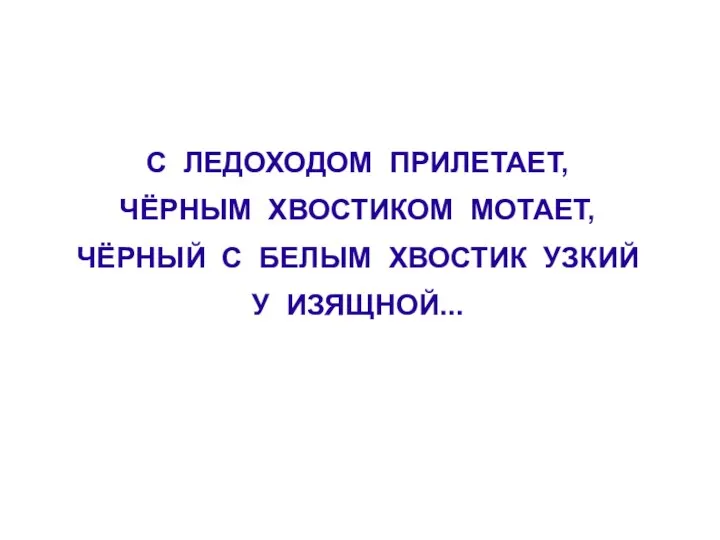 С ЛЕДОХОДОМ ПРИЛЕТАЕТ, ЧЁРНЫМ ХВОСТИКОМ МОТАЕТ, ЧЁРНЫЙ С БЕЛЫМ ХВОСТИК УЗКИЙ У ИЗЯЩНОЙ...