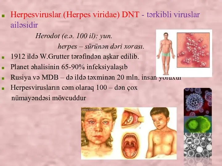 Herpesviruslar (Herpes viridae) DNT - tərkibli viruslar ailəsidir Herodot (e.ə. 100 il):