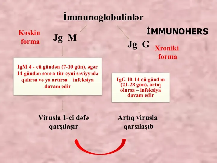 İmmunoglobulinlər Jg G Jg M Kəskin forma Xroniki forma Artıq virusla qarşılaşıb