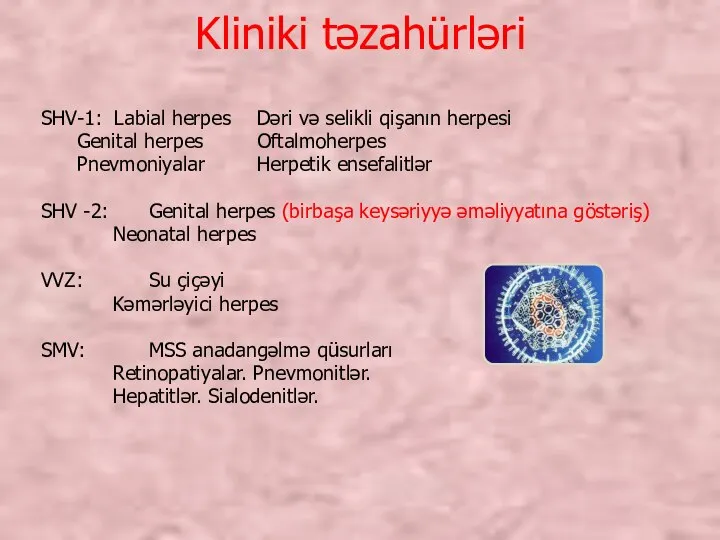 Kliniki təzahürləri SHV-1: Labial herpes Dəri və selikli qişanın herpesi Genital herpes