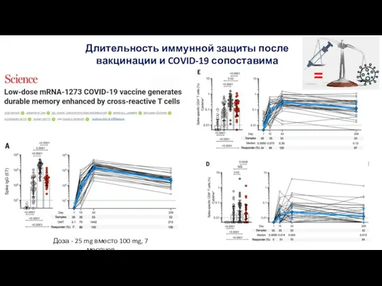 Длительность иммунной защиты после вакцинации и COVID-19 сопоставима Доза - 25 mg