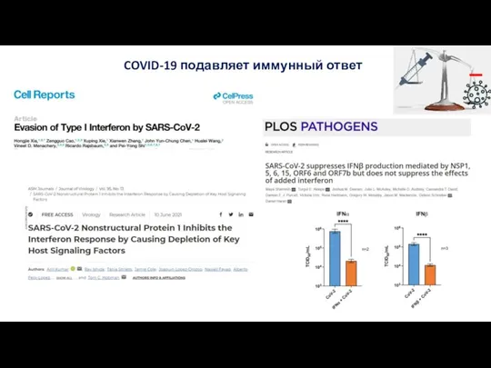 COVID-19 подавляет иммунный ответ _