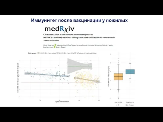 Иммунитет после вакцинации у пожилых