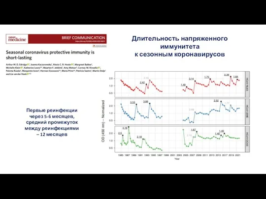 Длительность напряженного иммунитета к сезонным коронавирусов Первые реинфекции через 5-6 месяцев, средний