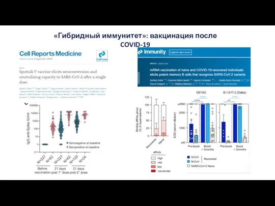 «Гибридный иммунитет»: вакцинация после COVID-19