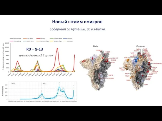 Новый штамм омикрон содержит 50 мутаций, 30 в S-белке R0 = 9-13