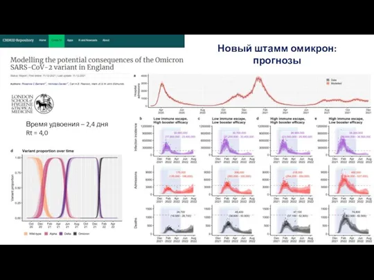 Новый штамм омикрон: прогнозы Время удвоения – 2,4 дня Rt = 4,0