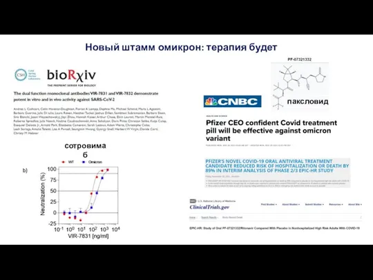 Новый штамм омикрон: терапия будет сотровимаб паксловид