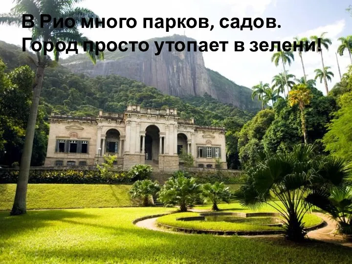 В Рио много парков, садов. Город просто утопает в зелени!