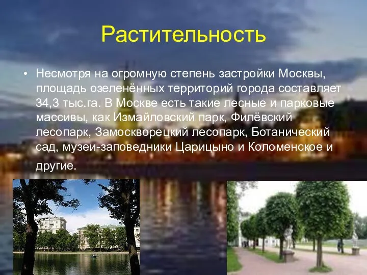 Растительность Несмотря на огромную степень застройки Москвы, площадь озеленённых территорий города составляет