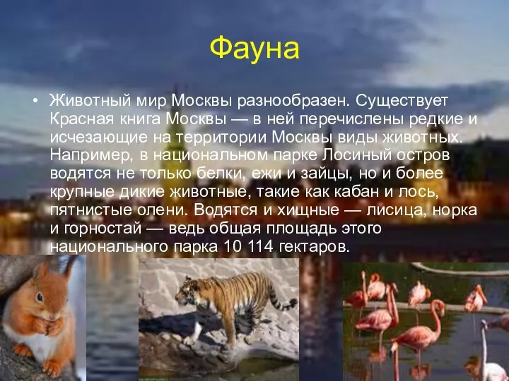 Фауна Животный мир Москвы разнообразен. Существует Красная книга Москвы — в ней