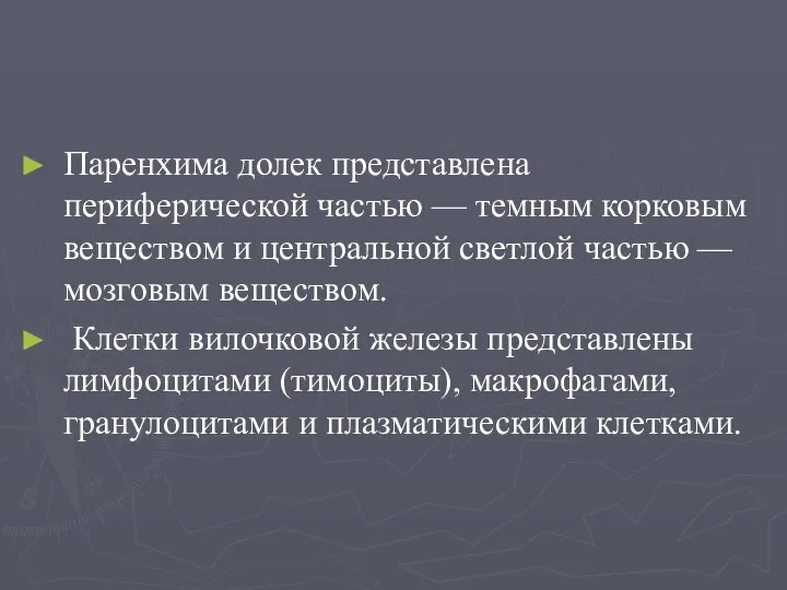 Паренхима долек представлена периферической частью — темным корковым веществом и центральной светлой