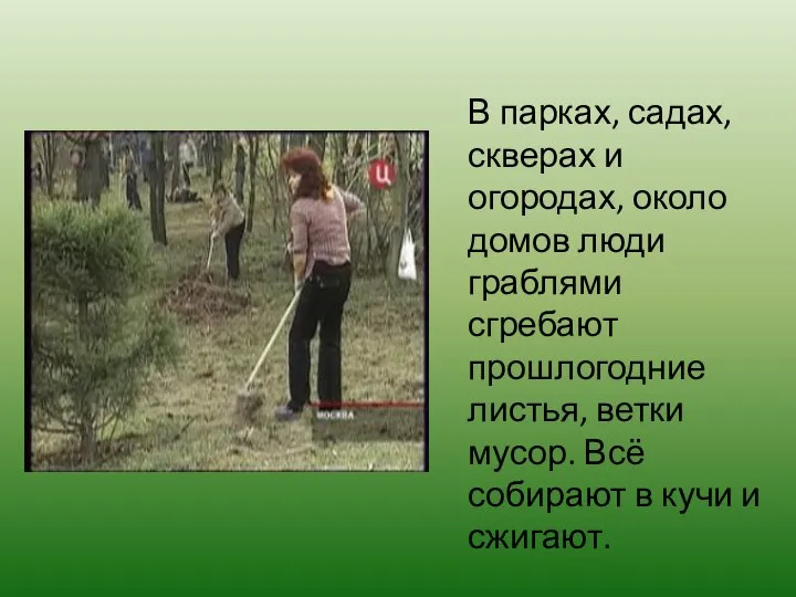 В парках, садах, скверах и огородах, около домов люди граблями сгребают прошлогодние