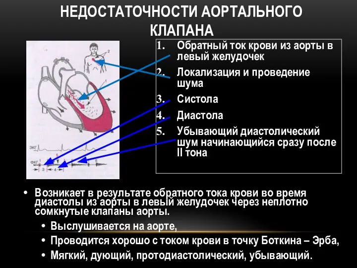 ДИАСТОЛИЧЕСКИЙ ШУМ РЕГУРГИТАЦИИ ПРИ НЕДОСТАТОЧНОСТИ АОРТАЛЬНОГО КЛАПАНА Обратный ток крови из аорты