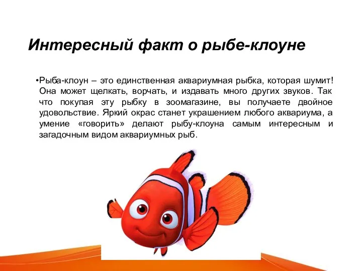 Интересный факт о рыбе-клоуне Рыба-клоун – это единственная аквариумная рыбка, которая шумит!
