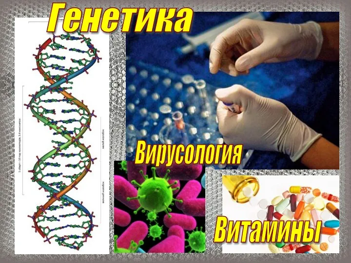 Вирусология Витамины Генетика