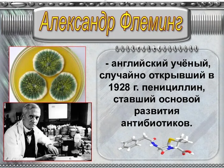 Александр Флеминг - английский учёный, случайно открывший в 1928 г. пенициллин, ставший основой развития антибиотиков.