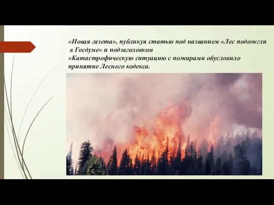 «Новая газета», публикуя статью под названием «Лес подожгли в Госдуме» и подзаголовком