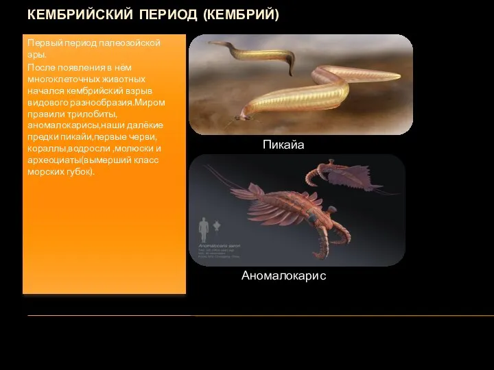 КЕМБРИЙСКИЙ ПЕРИОД (КЕМБРИЙ) Первый период палеозойской эры. После появления в нём многоклеточных