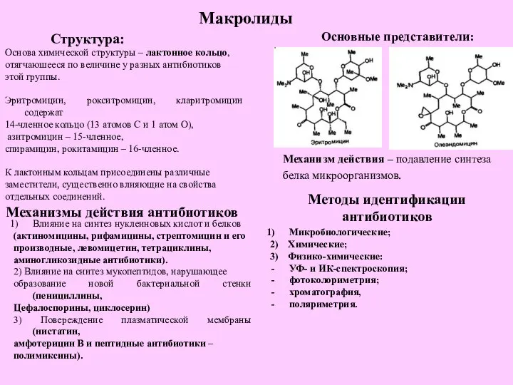 Макролиды Механизмы действия антибиотиков Методы идентификации антибиотиков Основа химической структуры – лактонное