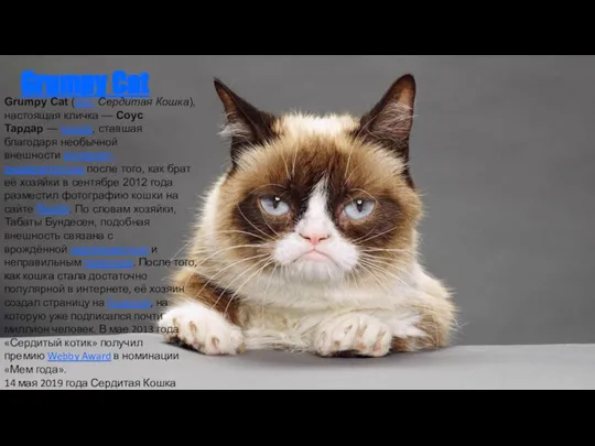 Grumpy Cat Grumpy Cat (рус. Сердитая Кошка), настоящая кличка — Соус Тардар