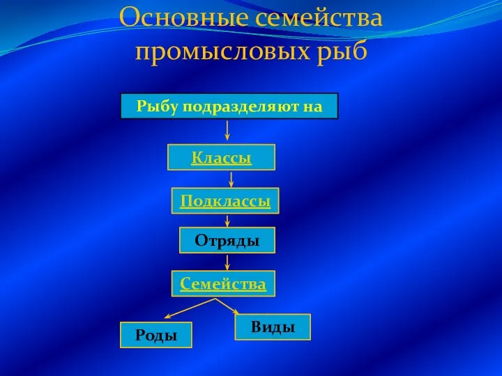 Основные семейства промысловых рыб Рыбу подразделяют на Классы Подклассы Отряды Семейства Роды Виды