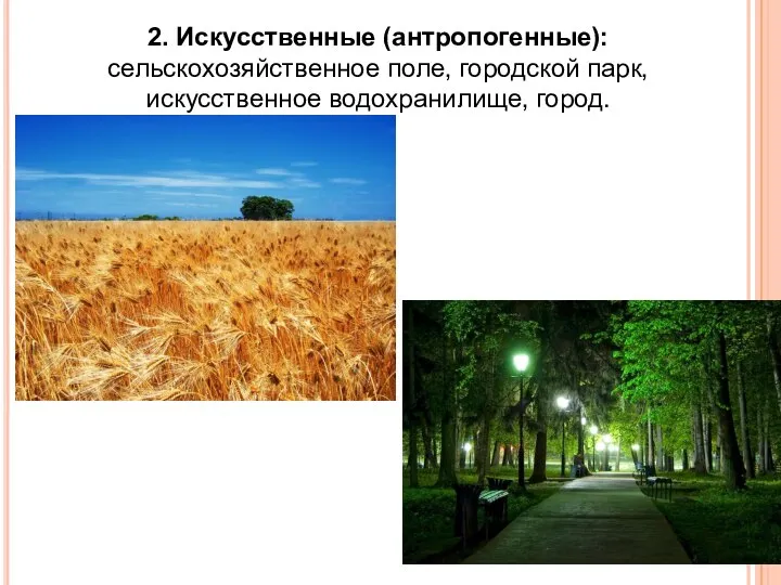 2. Искусственные (антропогенные): сельскохозяйственное поле, городской парк, искусственное водохранилище, город.