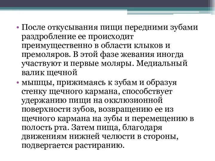 После откусывания пищи передними зубами раздробление ее происходит преимущественно в области клыков