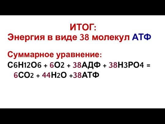 ИТОГ: Энергия в виде 38 молекул АТФ Суммарное уравнение: С6Н12О6 + 6О2