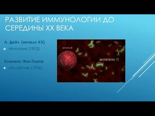 Л. Дейч (начало XX) «Антиген» (1903) Клеменс Фон Пирке «Аллергия» (1906) РАЗВИТИЕ