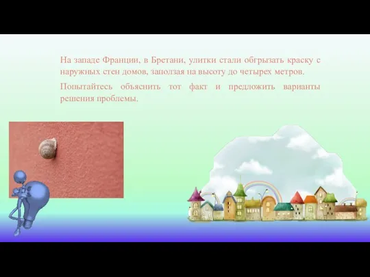 На западе Франции, в Бретани, улитки стали обгрызать краску с наружных стен