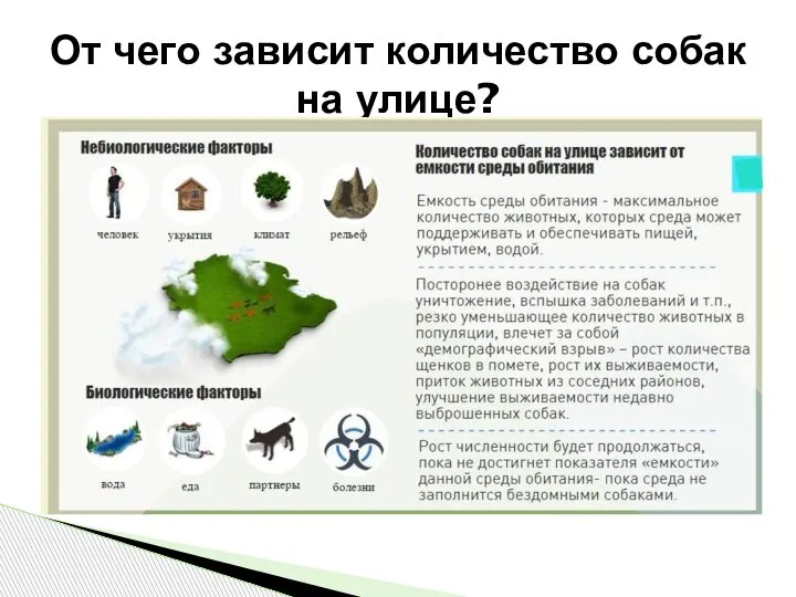 От чего зависит количество собак на улице?