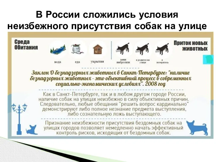 В России сложились условия неизбежного присутствия собак на улице