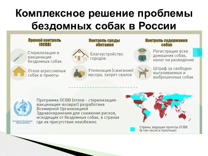 Комплексное решение проблемы бездомных собак в России