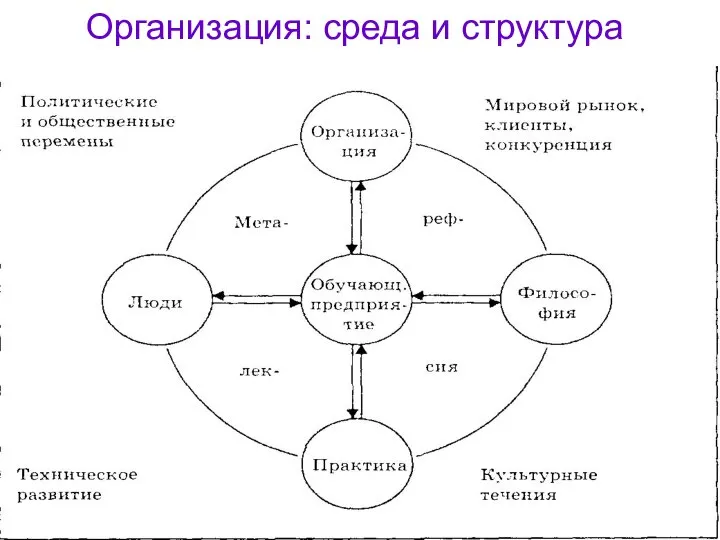 Организация: среда и структура