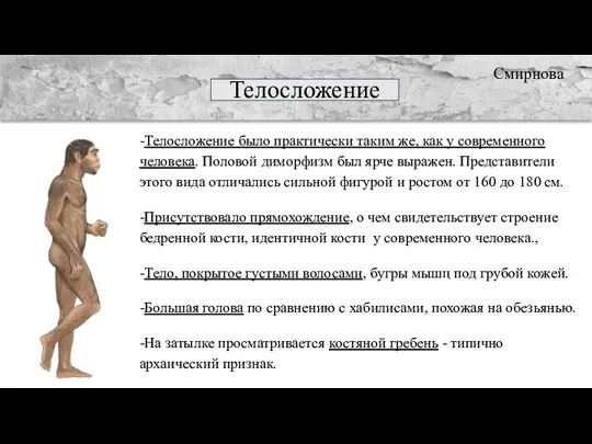 Телосложение -Телосложение было практически таким же, как у современного человека. Половой диморфизм