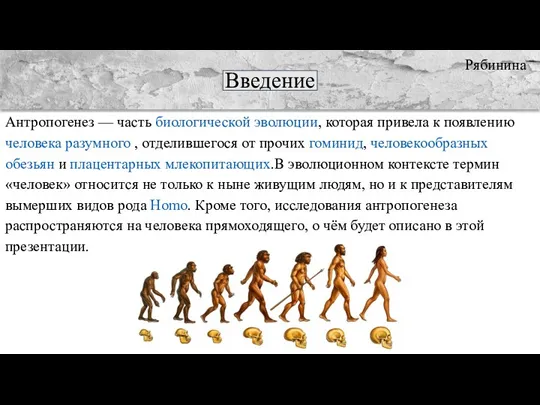 Введение Антропогенез — часть биологической эволюции, которая привела к появлению человека разумного