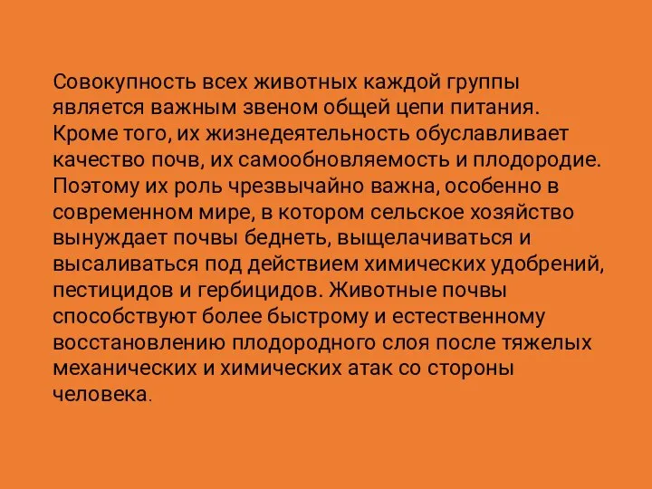 Совокупность всех животных каждой группы является важным звеном общей цепи питания. Кроме