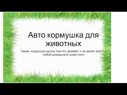 Авто кормушка для животных Такая кормушка нужна тем кто уезжает и не