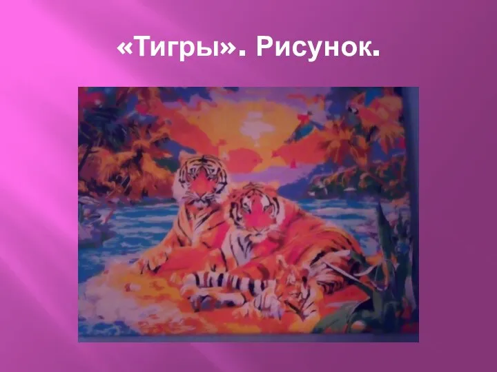 «Тигры». Рисунок.