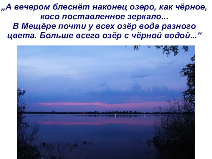 „А вечером блеснёт наконец озеро, как чёрное, косо поставленное зеркало... В Мещёре