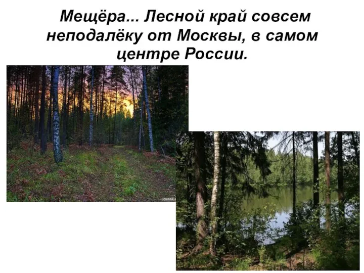 Мещёра... Лесной край совсем неподалёку от Москвы, в самом центре России.