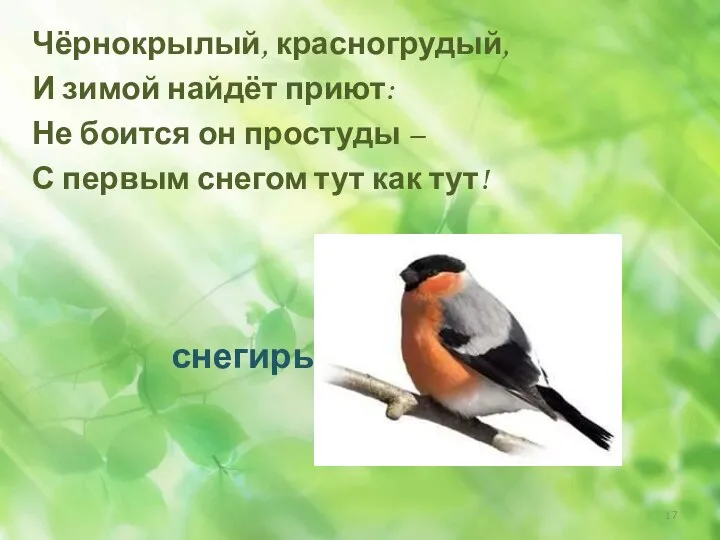 Чёрнокрылый, красногрудый, И зимой найдёт приют: Не боится он простуды – С