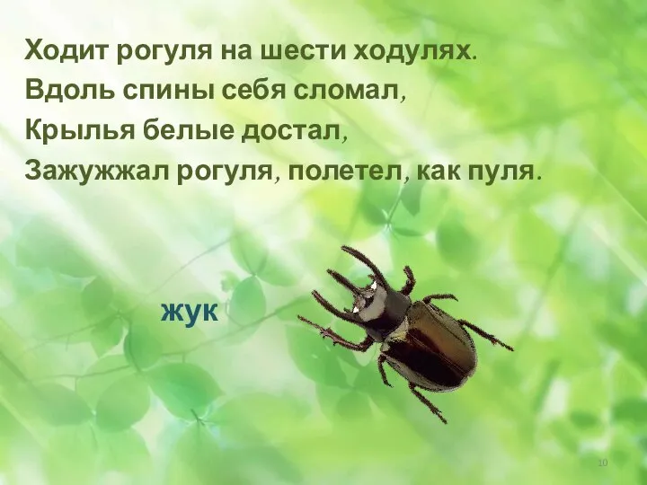 Ходит рогуля на шести ходулях. Вдоль спины себя сломал, Крылья белые достал,