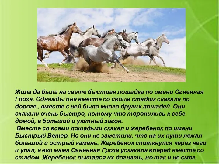 Жила да была на свете быстрая лошадка по имени Огненная Гроза. Однажды